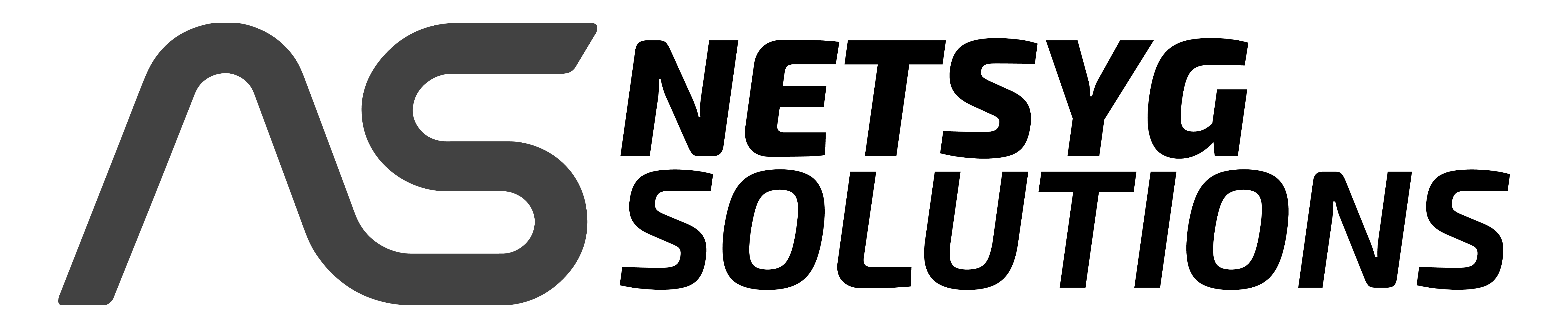 NETSYG Solutions logo